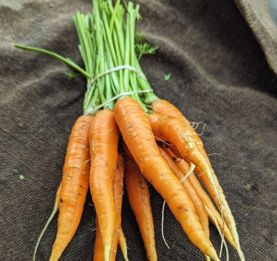 PXL_20231006_162937471~2